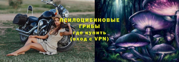 молекула духа Приозерск