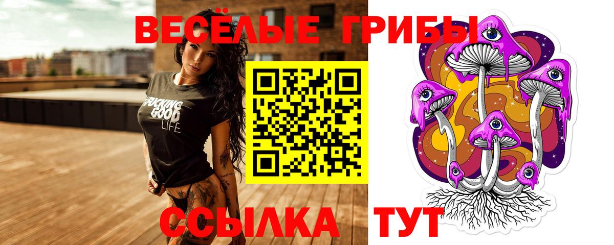 Галлюциногенные грибы Cubensis Урус-Мартан