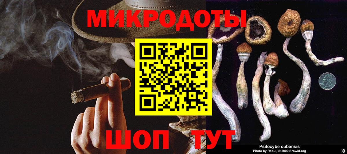 Галлюциногенные грибы ЛСД Урус-Мартан