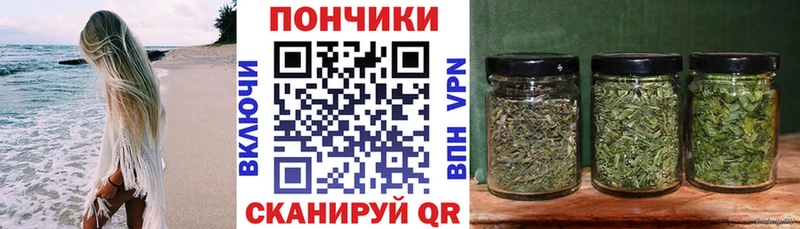 Бошки марихуана марихуана  где можно купить наркотик  МЕГА зеркало  Урус-Мартан 