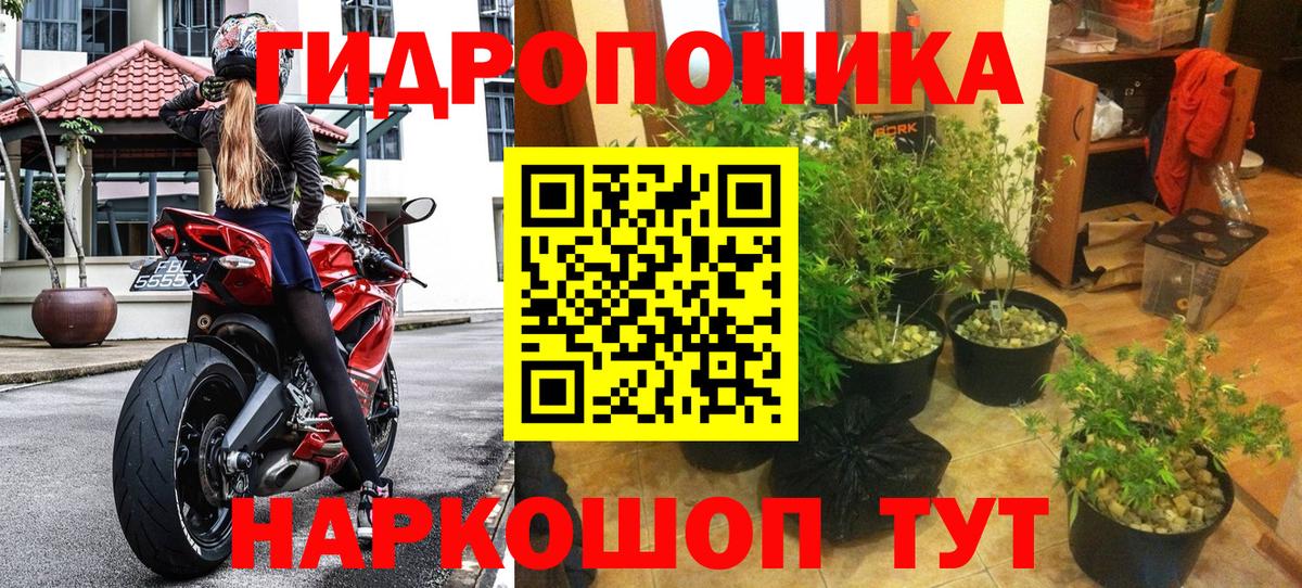 МАРИХУАНА тримм Урус-Мартан